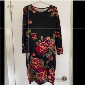 Lularoe elegant Debbie dress
